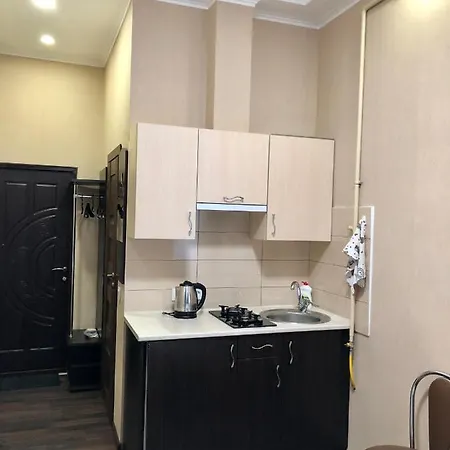 아파트 Studio-біля вокзалу-недалеко від центру-городоцька 151